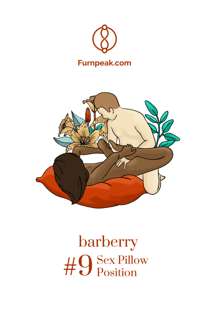 barberry illustration sex positions on sex pillows