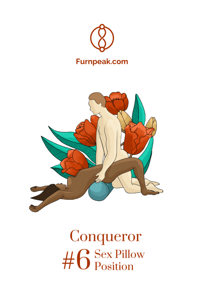conqueror illustration sex position on sex pillows