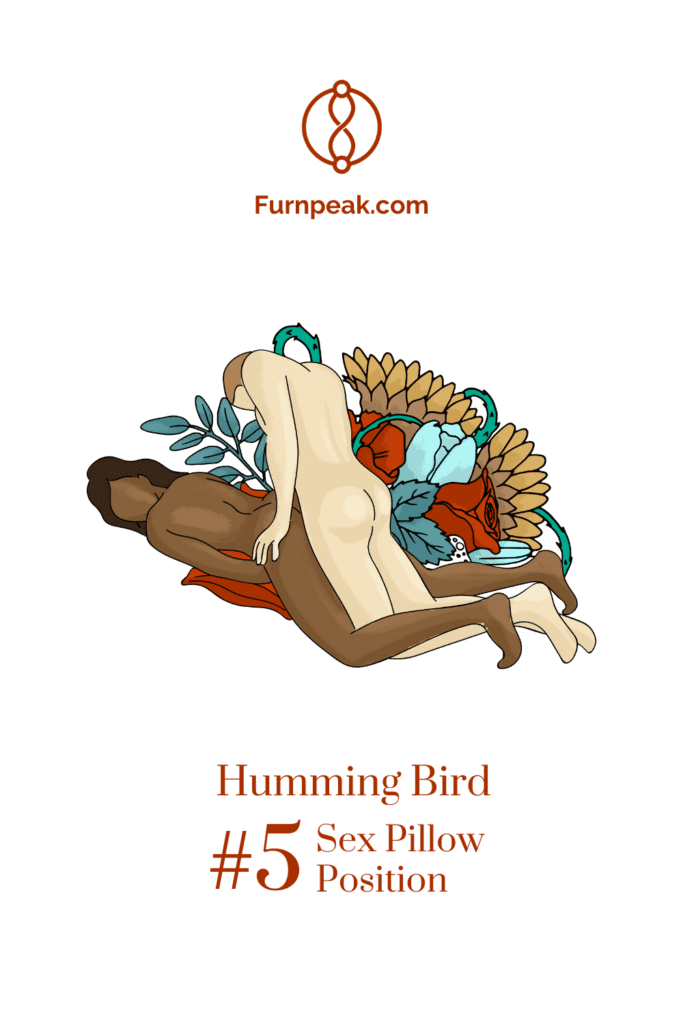 humming bird sexual art illustration sex positions on sex pillows
