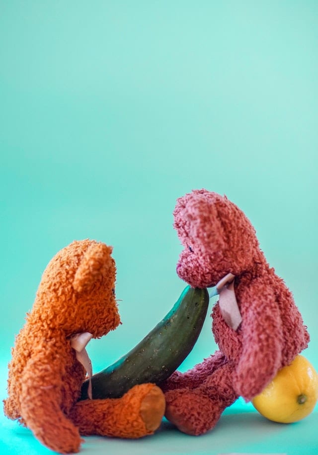 Sex Toys Teddy Bears Marriage