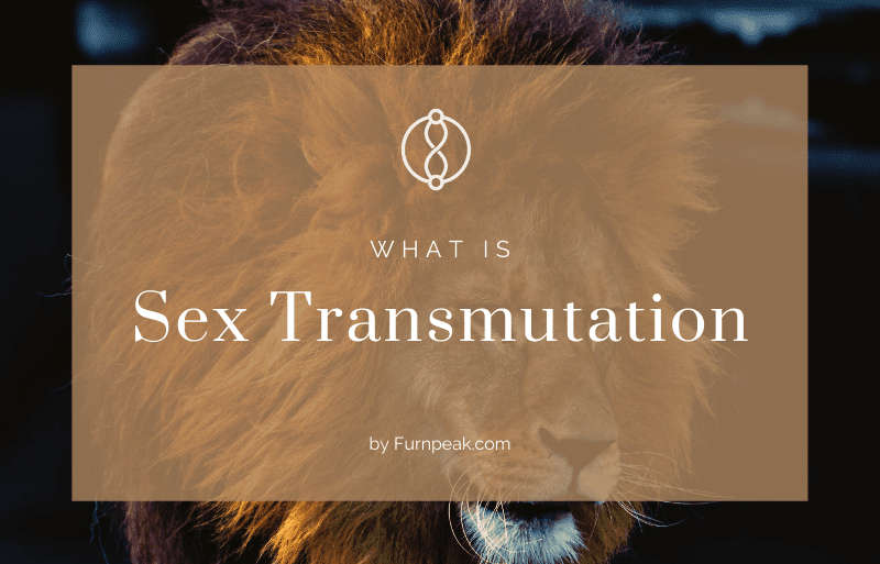 What is sex transmutation guide