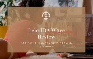 Lelo IDA Wave Review