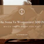 Lelo Sona Vs Womanizer 500 Pro