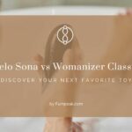 Lelo Sona vs Womanizer Classic