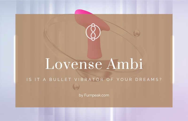 Lovense Ambi Review