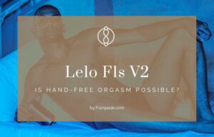 Lelo F1s V2 review