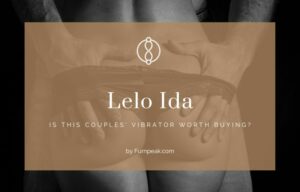 Lelo Ida review