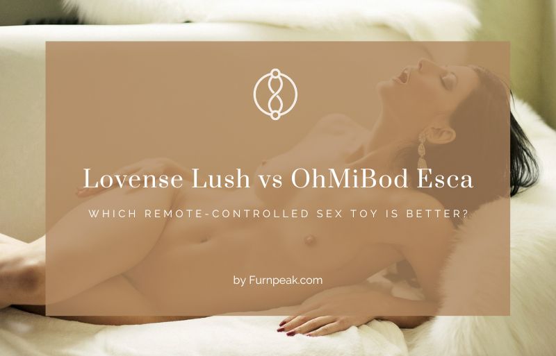 Lovense Lush vs OhMiBod Esca