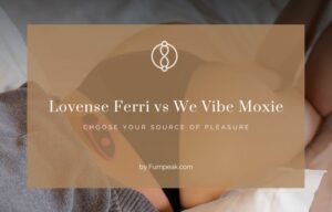 Lovense Ferri vs We Vibe Moxie